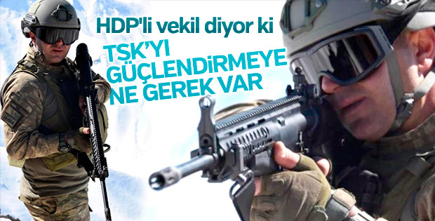 HDP Türkiye'nin silahlanmasına karşı