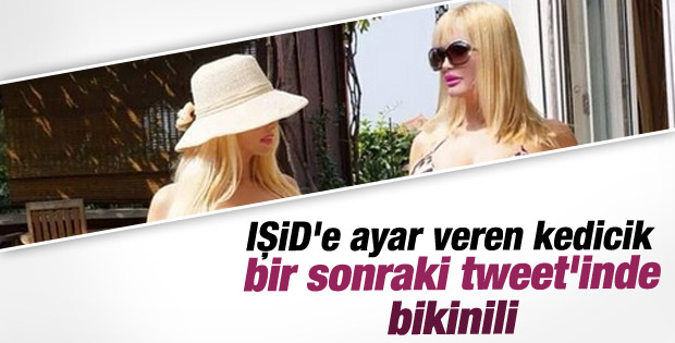 Kedicik Tülay Kumaşçı'dan yeni fotoğraf