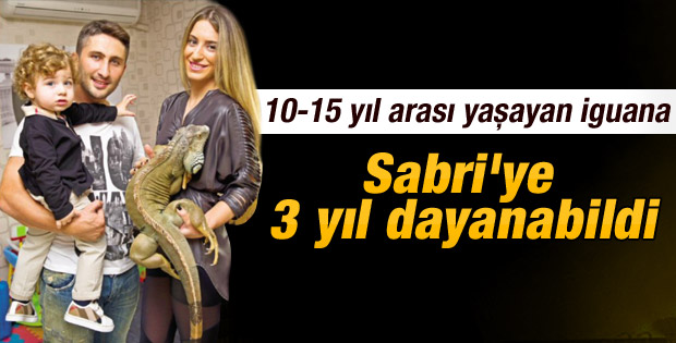 Tuncay ile Sabri arasındaki iguana diyaloğu