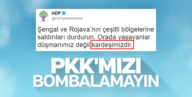TSK'nın PKK'yı vurması HDP'yi de üzdü