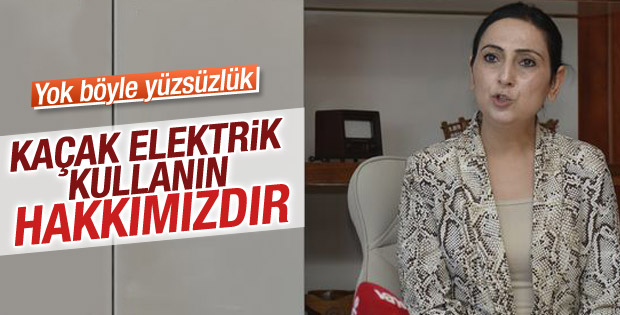 HDP'nin yavru partisi: Herkes elektriği kaçak kullansın