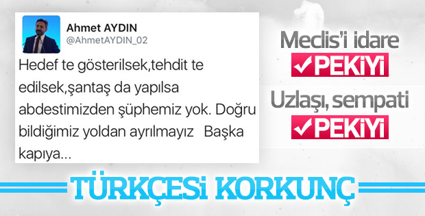 Ahmet Aydın Türkçeyi katletti