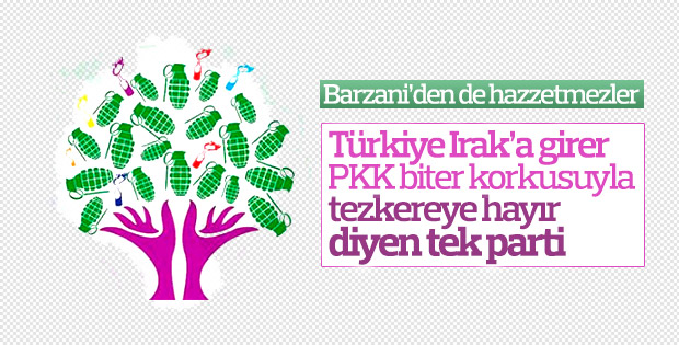 HDP, Irak-Suriye tezkeresine karşı