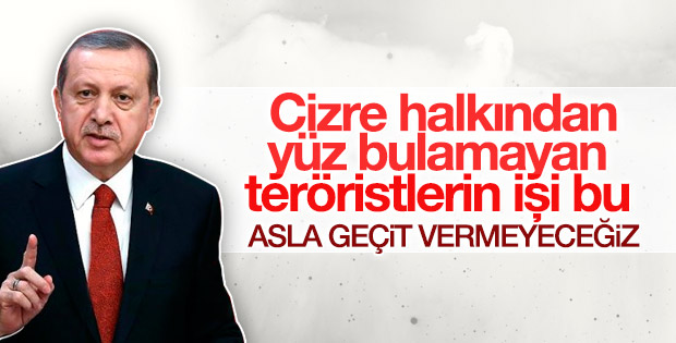 Erdoğan'dan Cizre saldırısına tepki
