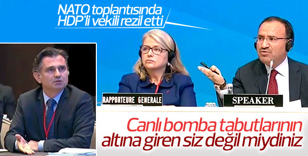 Bakan Bozdağ NATO'ya HDP'lileri anlattı