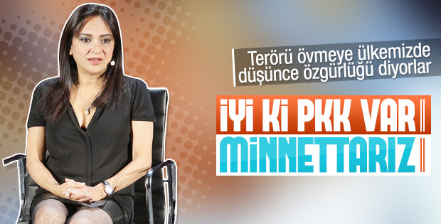 Amberin Zaman'dan tepki çeken Nice tweet'i