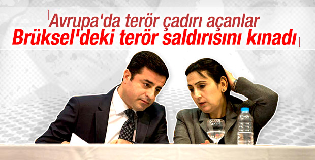 HDP'den Brüksel açıklaması