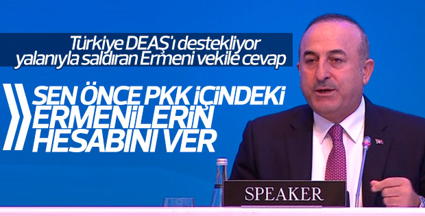 Bakan Çavuşoğlu'ndan Ermeni vekile sert tepki