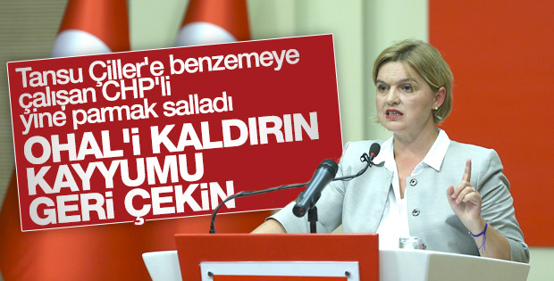 CHP'li Selin Sayek Böke'den kayyum tepkisi