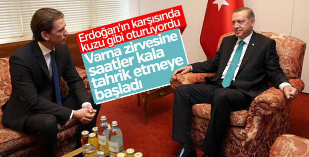 Avusturya Başbakanı Kurz: Türkiye'nin AB'de yeri yok