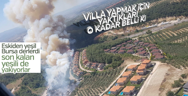Bursa'da orman yangını