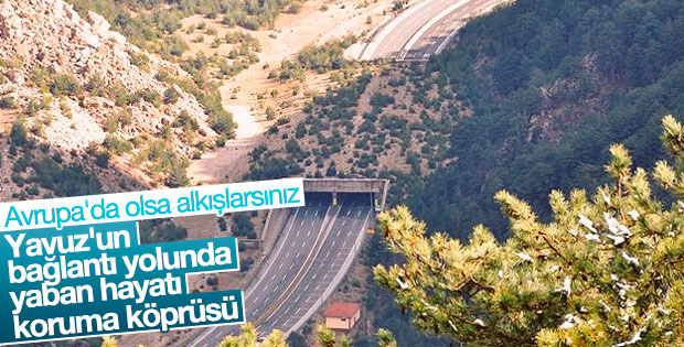 Yaban hayatı köprüsü tamamlanıyor