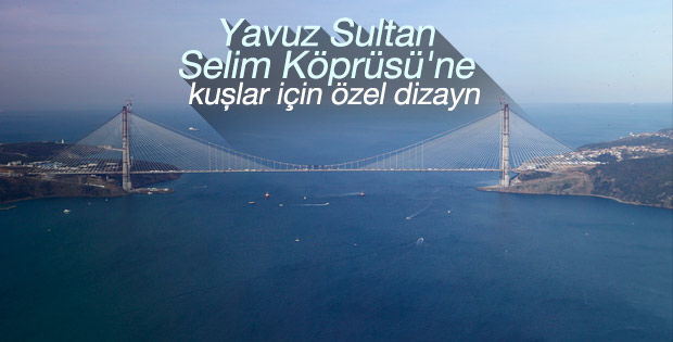 Yavuz Sultan Selim Köprüsü'de kuş göçüne özel çalışma