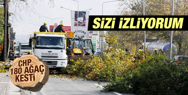 Yalova'da 180 ağaç Atatürk'ün gözleri önünde kesildi