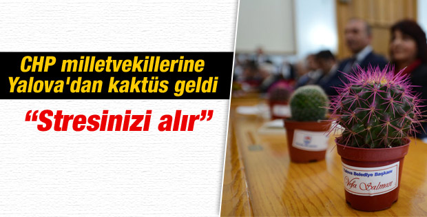 CHP'li Salman vekillere kaktüs hediye etti