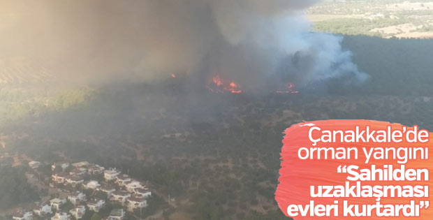 Çanakkale'de orman yangını