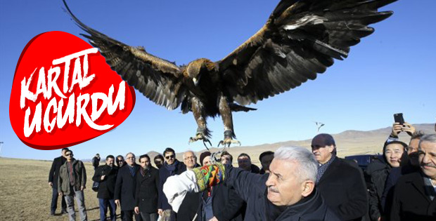 Başbakan Yıldırım Moğolistan'da koluna kartal aldı