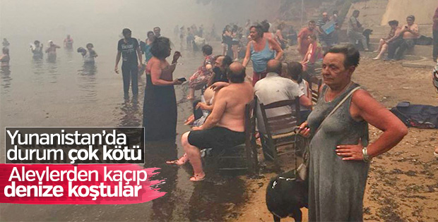 Türkiye'den Yunanistan'a yardıma hazırız mesajı