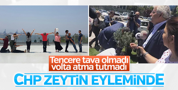 CHP'liler Meclis bahçesine zeytin fidanı dikti	