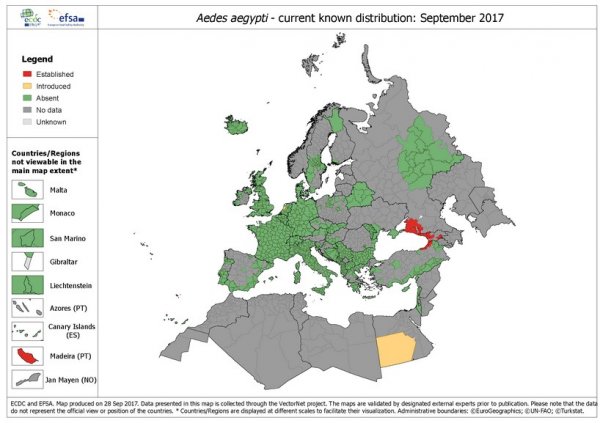 Zika virüsünü yayan protein bulundu