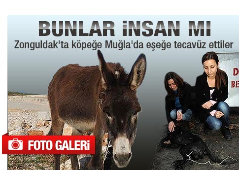 Kadına Tecavüz Eşek Kadına Tecavüz Eşek