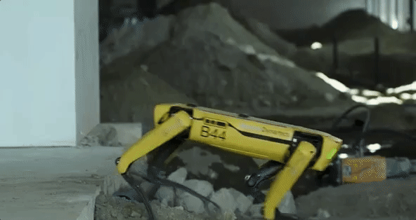 Boston Dynamics’in robot köpeği Spot, hastanelerde kullanılıyor
