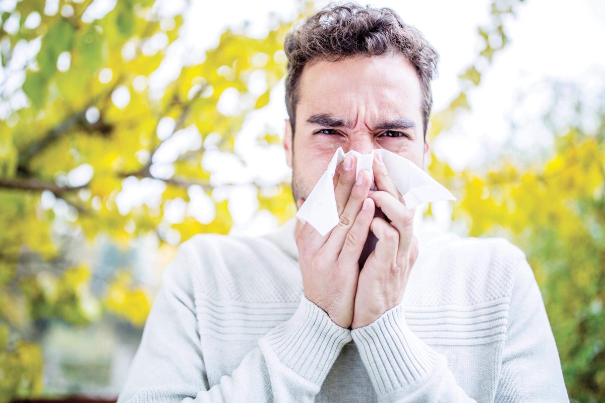 The course of allergies has changed with climate change #2