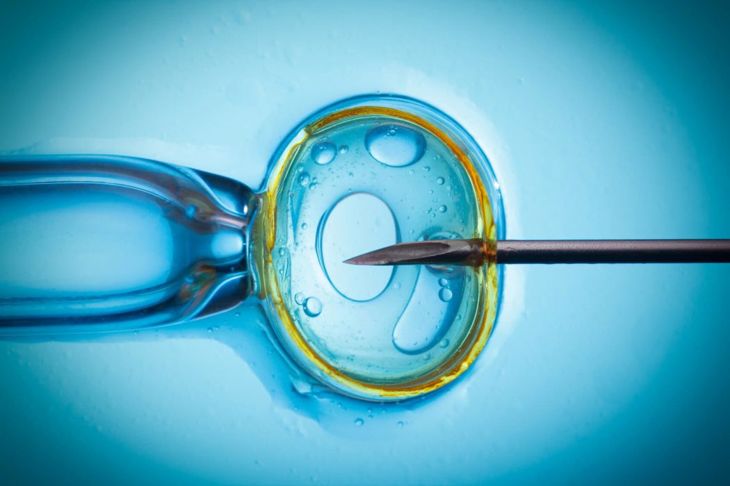 Tüp bebek yönteminde sperm kalitesi büyük önem taşıyor