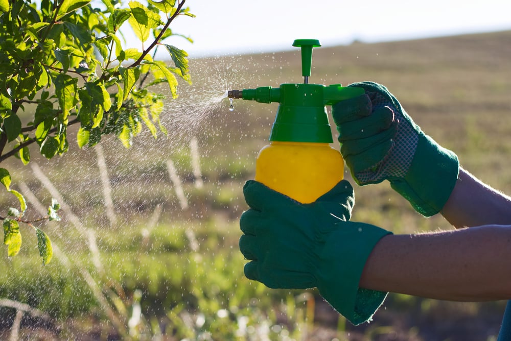Pesticides increase breast cancer risk by 9 times #2