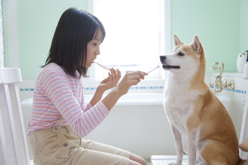 8 ways to keep your pets healthy #2