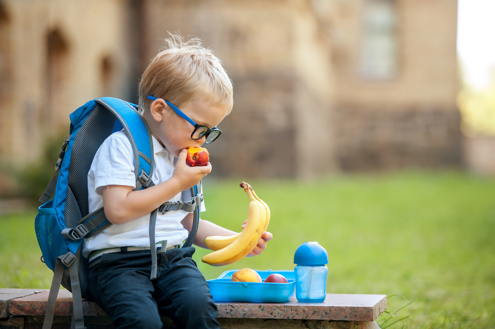 Protect your child's immunity with the lunchbox #2