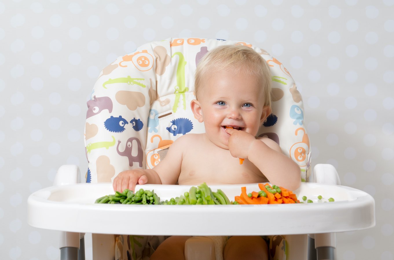 Recommendations from the specialist for the transition process of babies to solid food #2