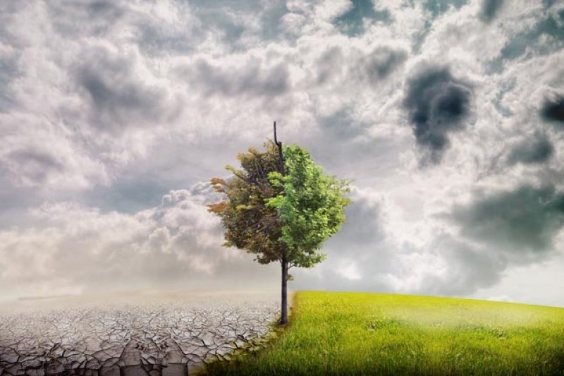 2016'da bilim dünyasında yaşanan önemli gelişmeler