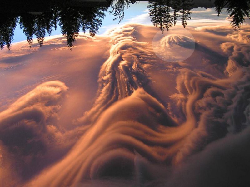 Nadir görülen doğa olayları 