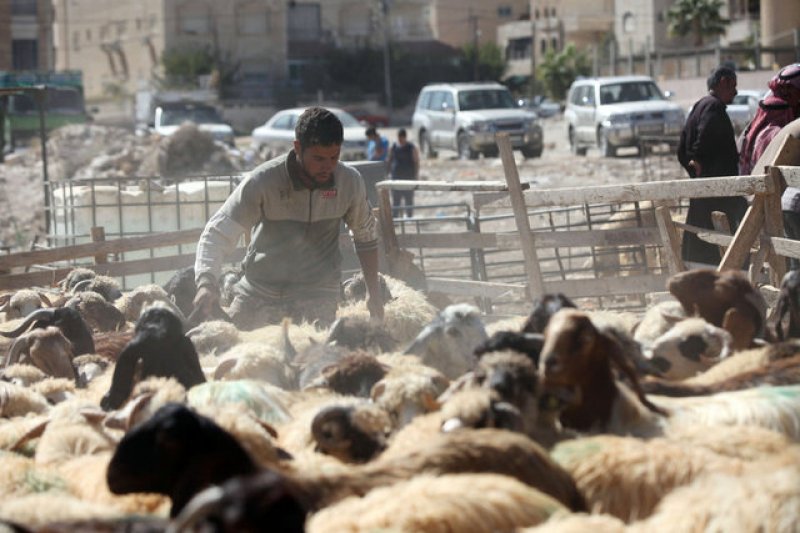 Kurbanlık satış fiyatları açıklandı