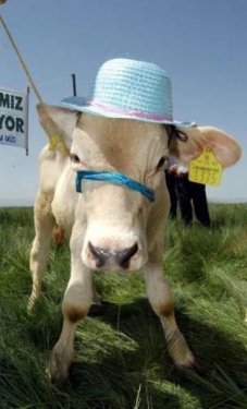 Yurdum insanı bambaşka