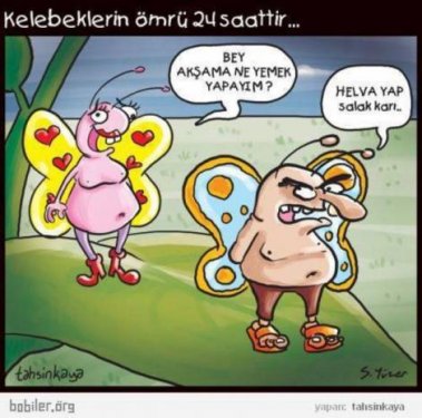 Komik Ve Dusundurucu Karikaturler Foto Galerisi 1 Resim