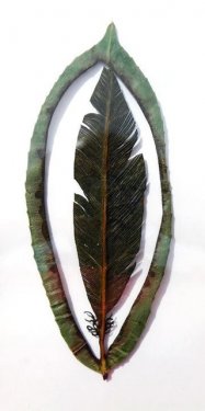 Yaprakları dantel gibi işlediler