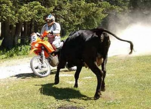 Yurdum insanı bambaşka