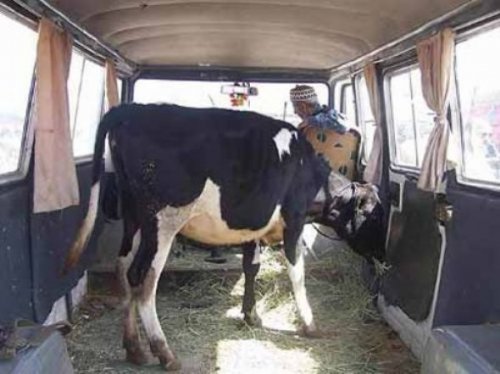 Yurdum insanı bambaşka