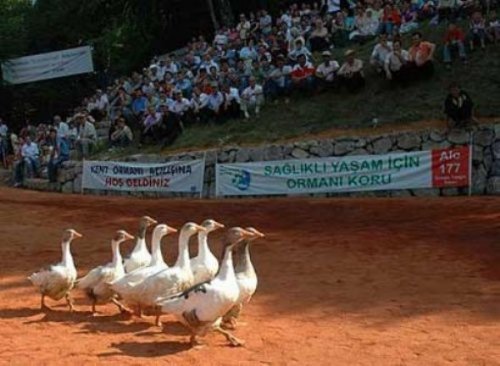 Yurdum insanı bambaşka