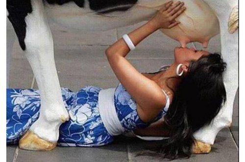 Tüm zamanların en komik fotoğrafları