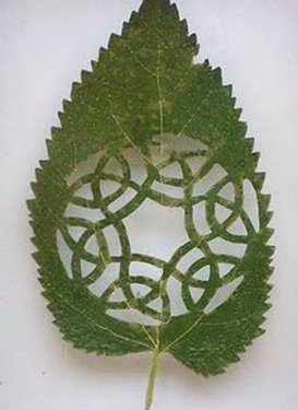 Yaprakları dantel gibi işlediler