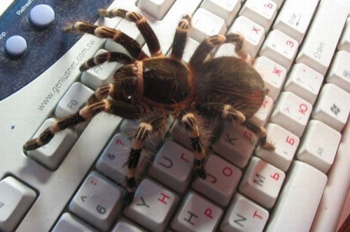 Öğrenci Evi Halleri