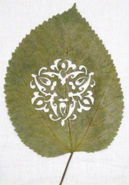 Yaprakları dantel gibi işlediler