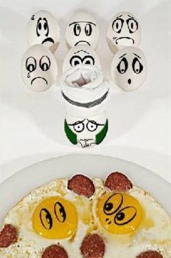 Çılgın yumurtalar