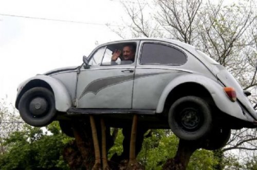 Yurdum insanı bambaşka