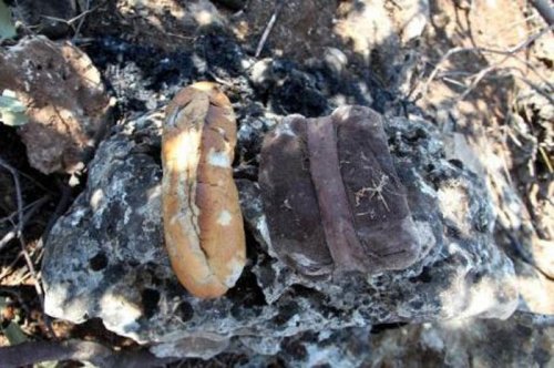 İşte hain pusu buraya kuruldu