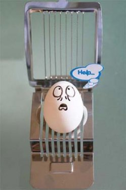 Çılgın yumurtalar