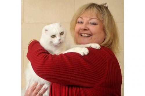 2011'in en komik hayvanları 